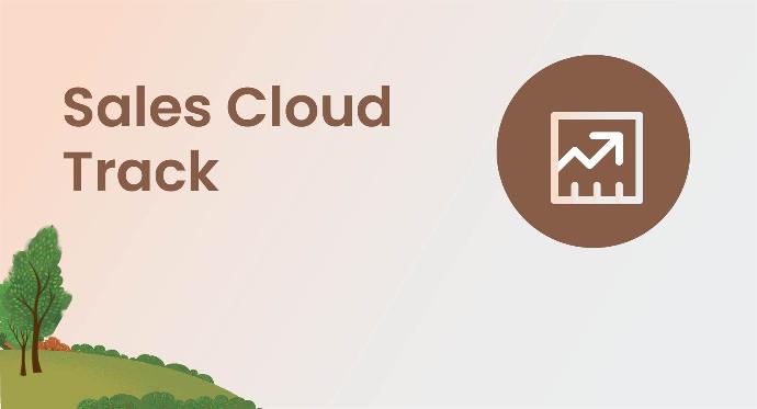 ​Sales Cloud ​Track