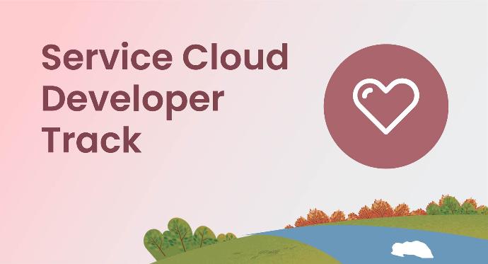 Service Cloud Developer Track